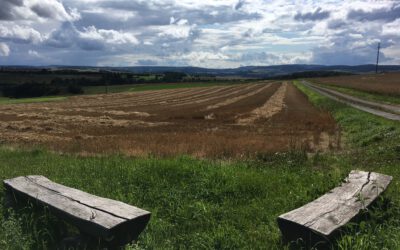 Testbeitrag 2024 vergangen